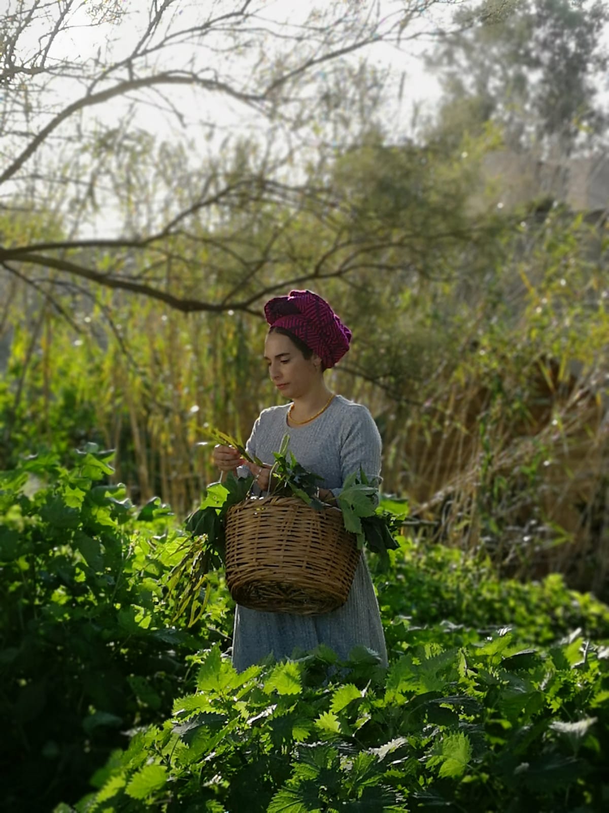 אסתר לחמן מלקטת צמחי מרפא