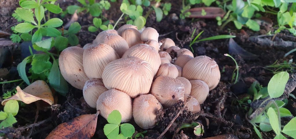 51251fc6-0f83-4a64-9bf6-c1efba0e9796