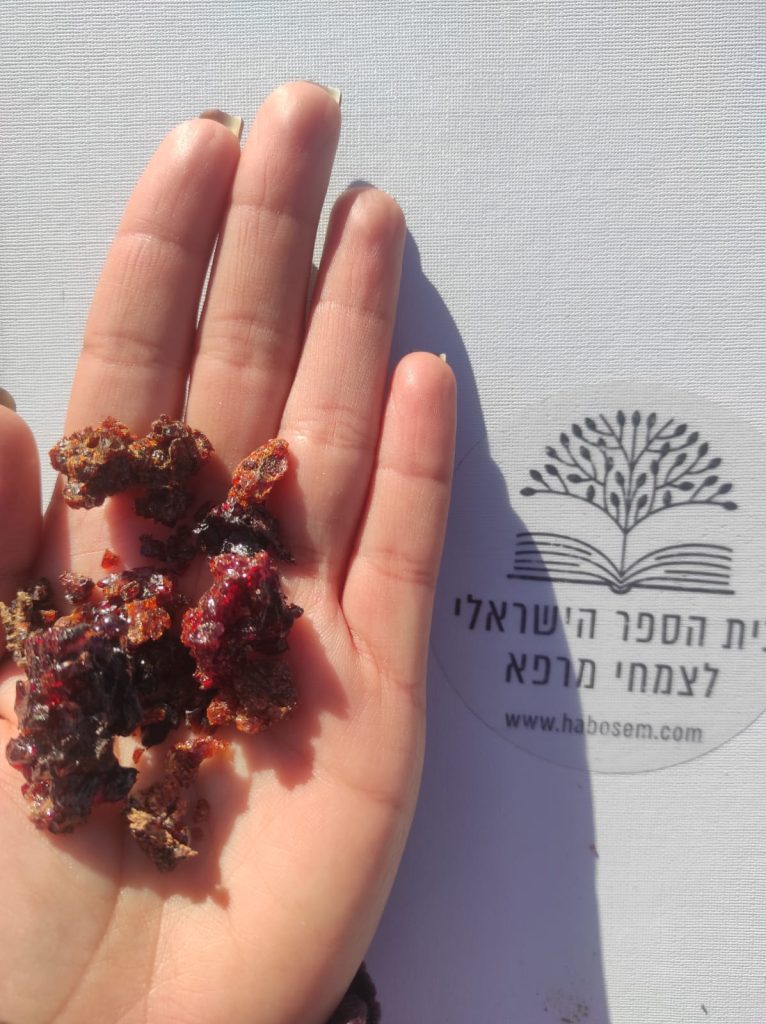 82a9069a-306a-406e-93c8-81a86f7d5c5f