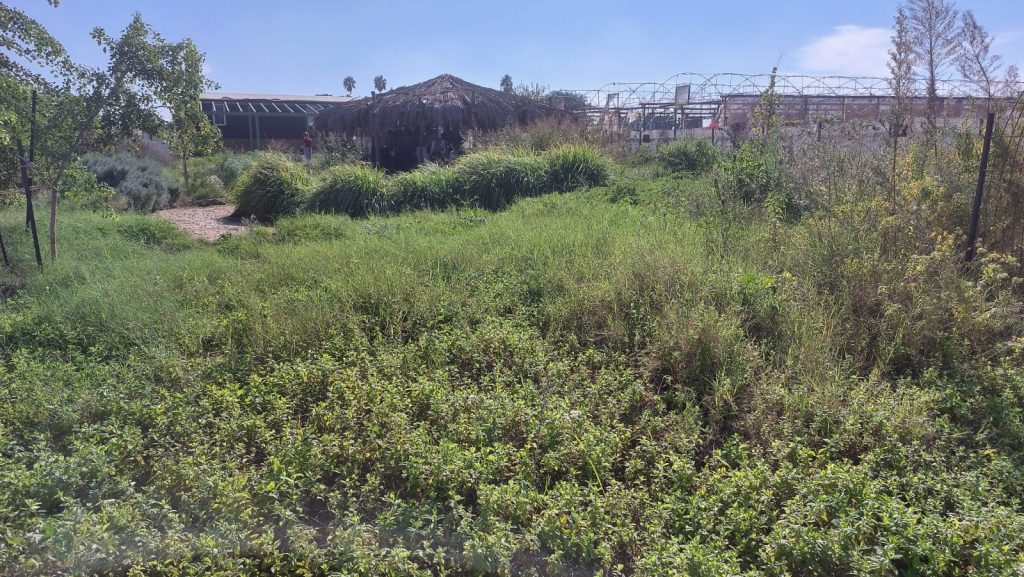 b179a1eb-990b-4114-b337-21ea1878473b