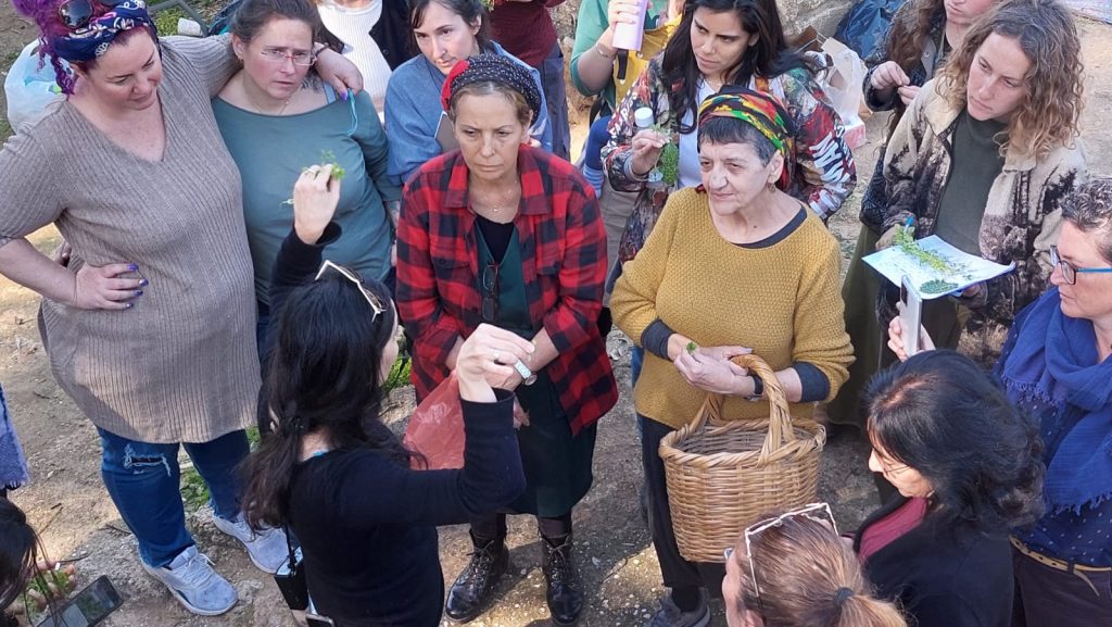 cc83a6c6-8e45-434a-b196-6ca537a5fc53